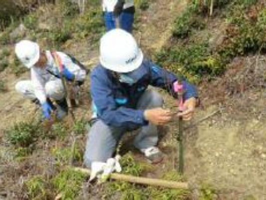 モミジの植樹作業(地下水涵養事業)に参加しました