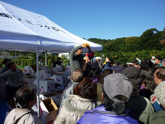 大収穫に笑顔!ソミック農園でみかん狩り